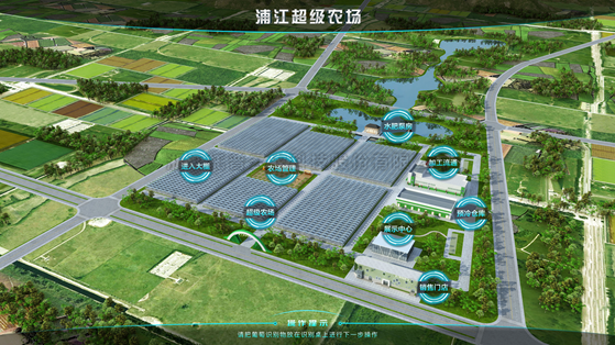 浦江超级农场：科技赋能让种植更高效