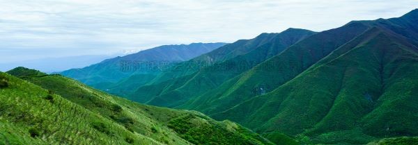 智慧护林有妙招，看太子山如何用科技守护森林