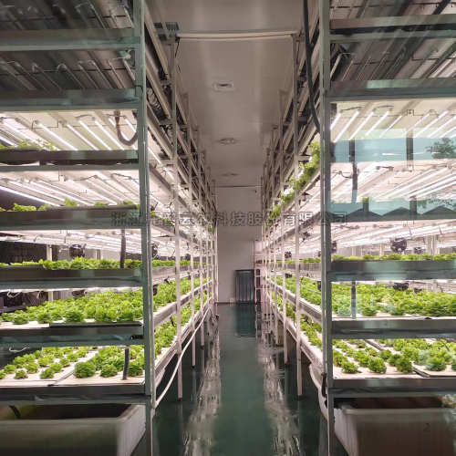 植物组培实验室设计建设方案