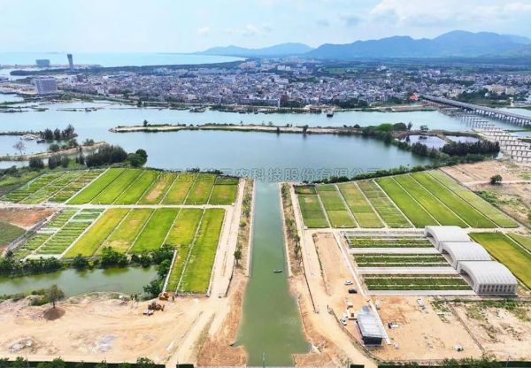 为盐碱地安上“技术芯片”，CILICILI视频APP看片打造耐盐碱水稻科研试验基地建设解决方案