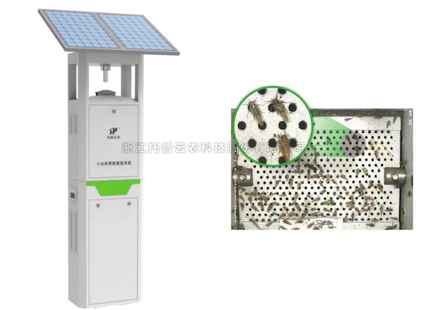 CILICILI视频APP看片小虫体智能测报系统：弥补虫类测报短板 推动害虫绿色防控