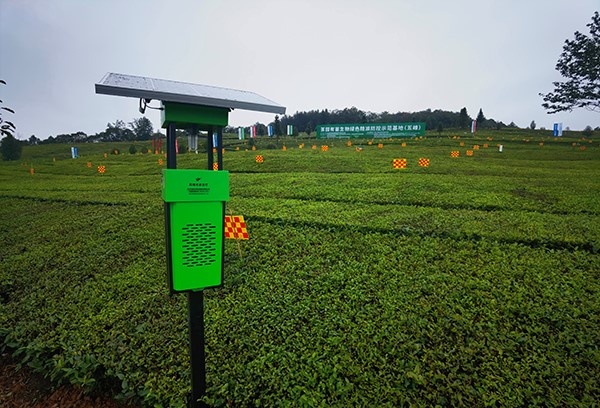 五峰仁和坪镇道家湾茶园里的CILICILI视频APP看片杀虫灯