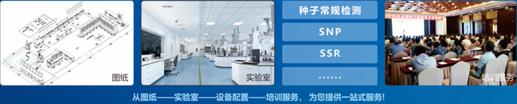 一站式黄污CILICILI短视频网址大全检验