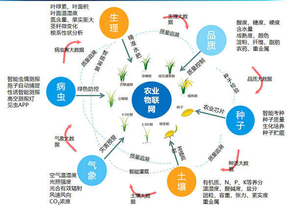 CILICILI视频APP看片打造的全要素智能采集系统