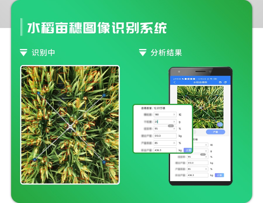 水稻亩穗数测量系统